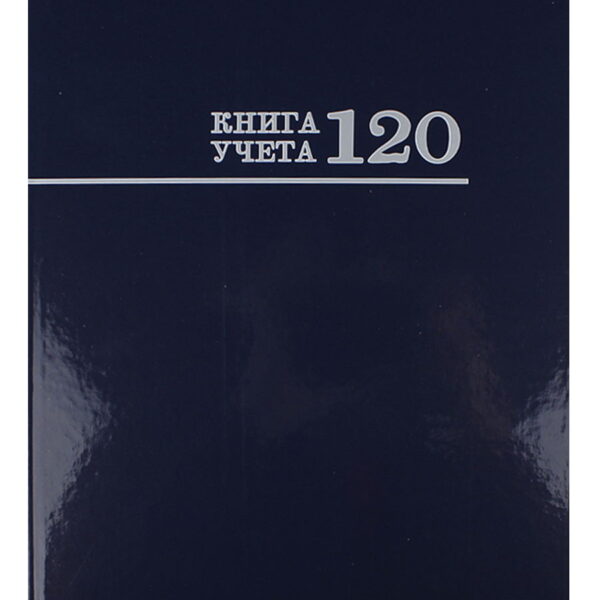 Миниатюра товара Книга учета А4 120л тв Бордо/зел/син 3