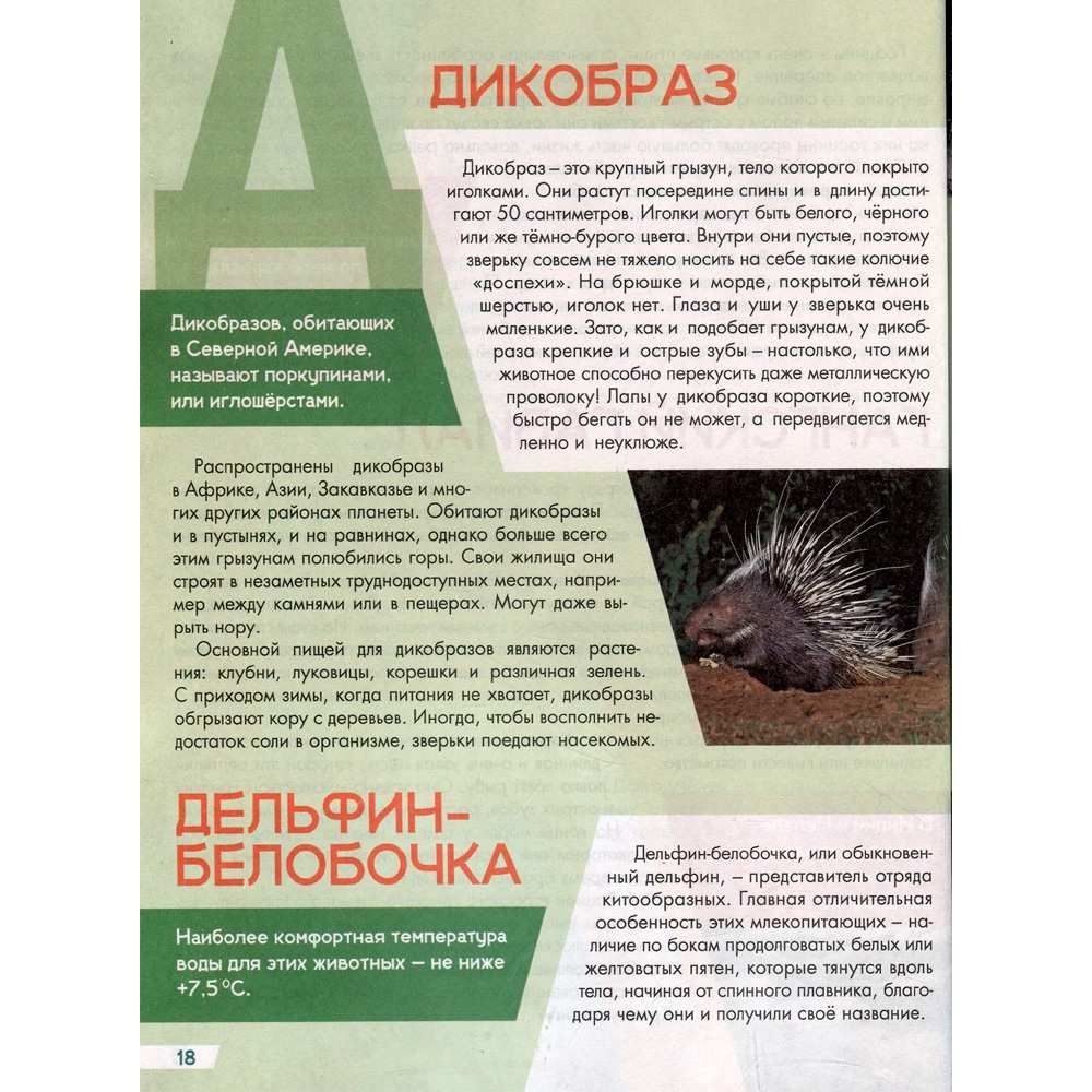 Миниатюра товара Лучшая дет энцик Животный мир от А до Я 2