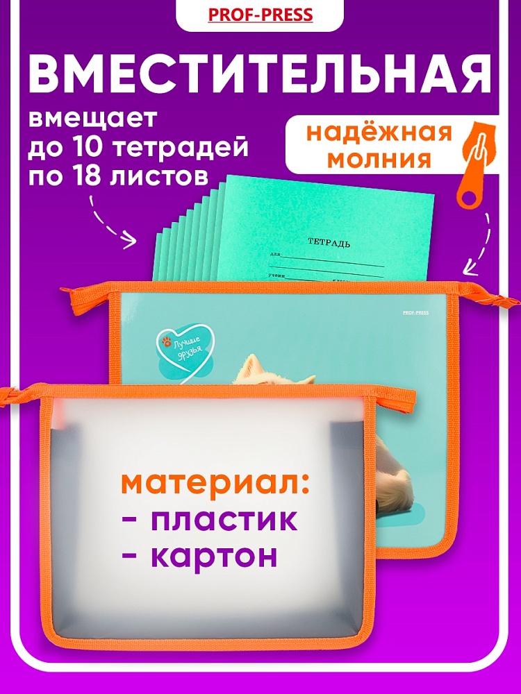 Миниатюра товара Папка для тетрадей на молнии. Лучшие друзья. 2