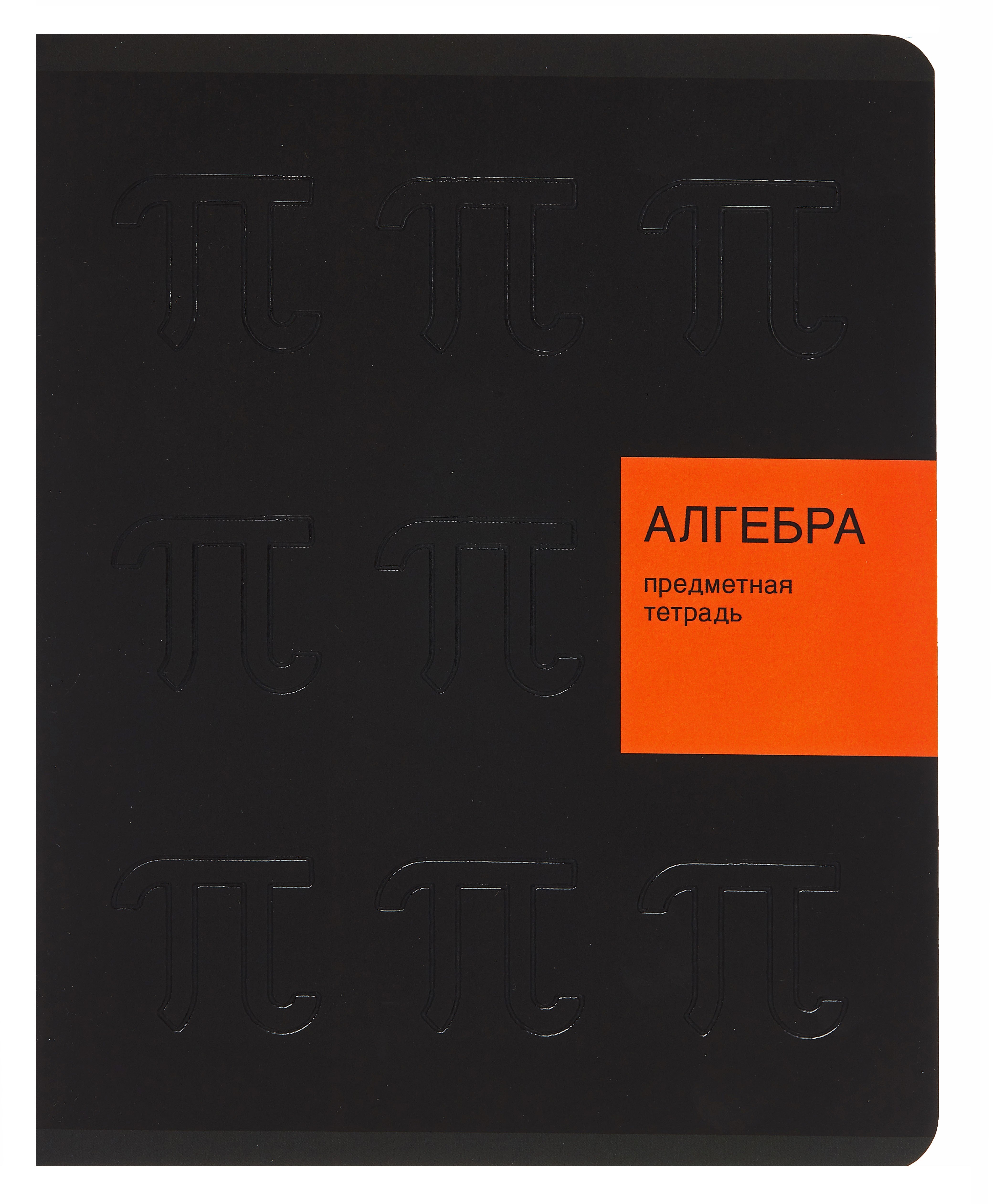 Миниатюра товара Комплект предметных тетрадей New Black 48л 4