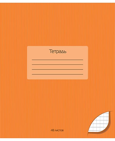 Тетрадь 48л Оранжевый. С2528-12