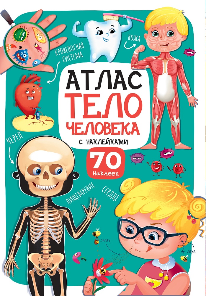 Миниатюра товара Атлас динозавров/ насекомых/тело человека  70 наклеек 7