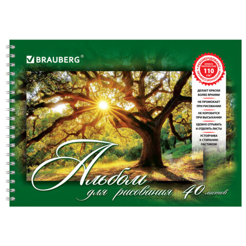 Миниатюра товара Альбом д/рис. А4 40л.гребень.Brauberg Природа. 4
