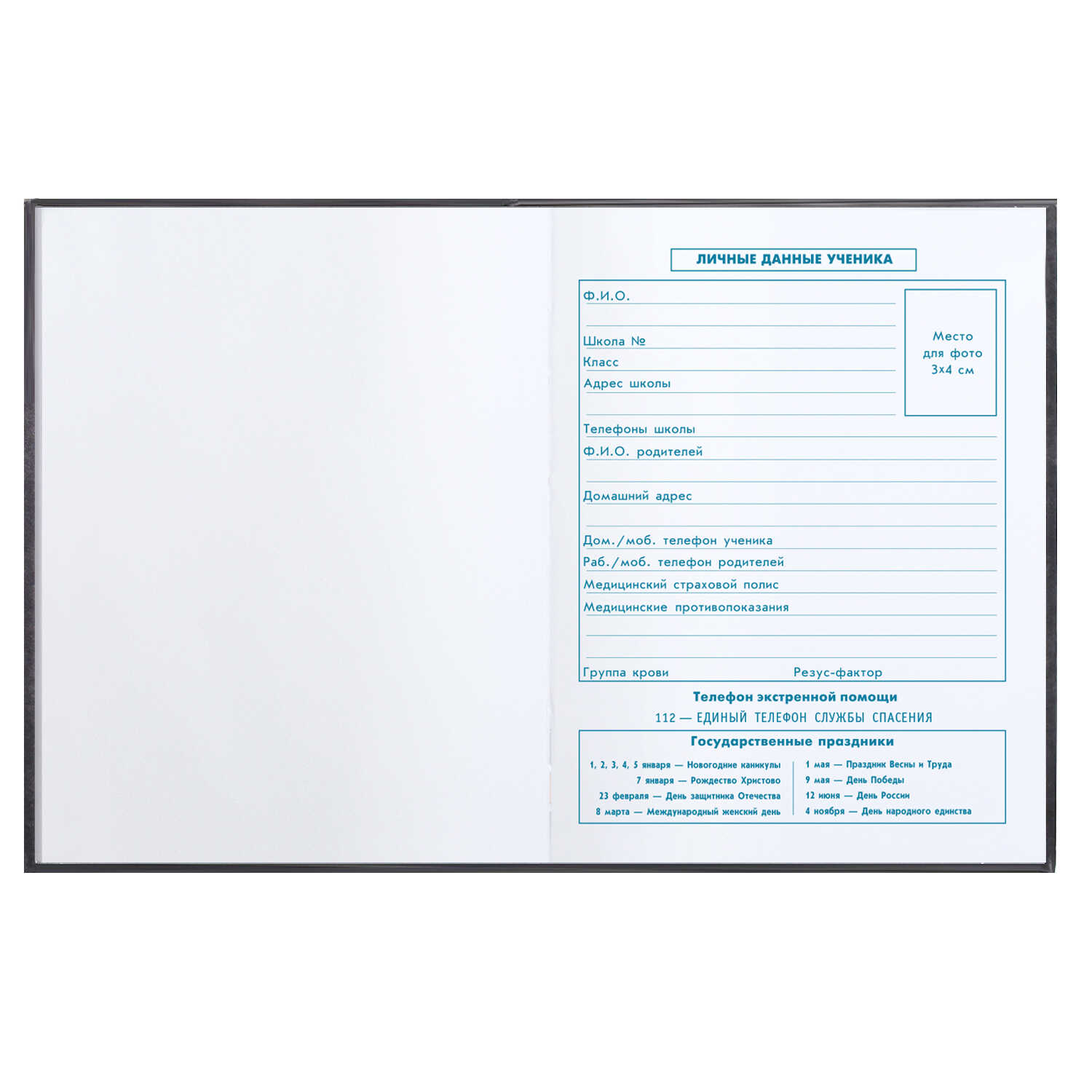 Миниатюра товара Дневник 1-4кл. 72722 Кот в кепке. 4
