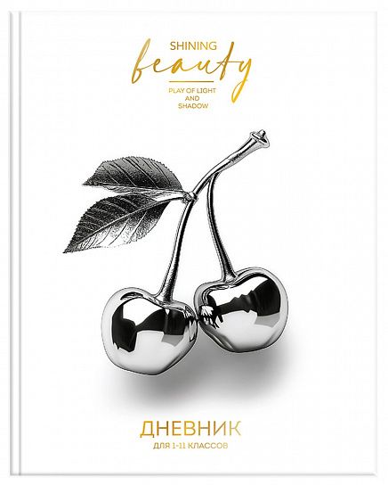 Дневник ун. Хром вещи. Schoolformat.