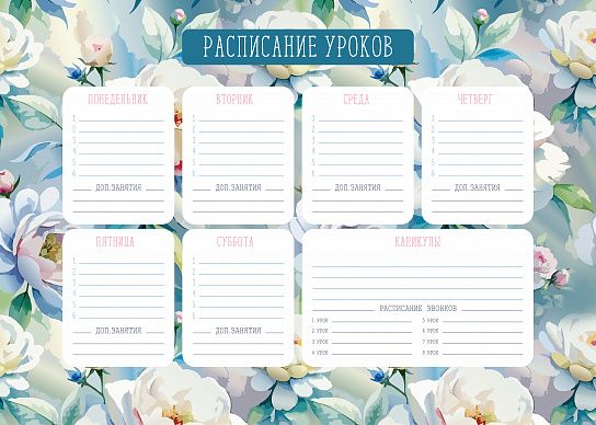 Миниатюра товара Расписание А3 Пиши-стирай/ Драйв/Милота 3