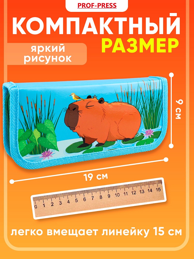 Миниатюра товара Пенал 1-секц, 190*90 Капибара с птичкой. 3